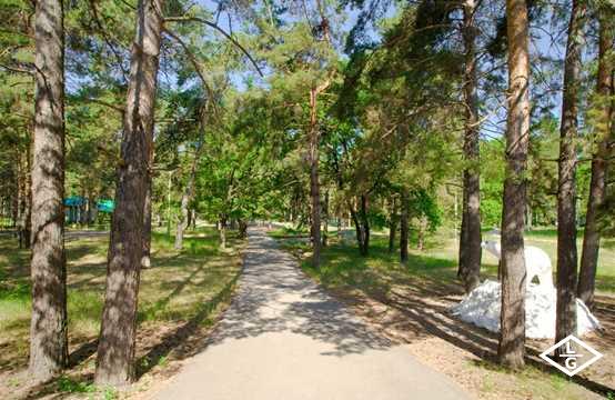 Загородный центр  Лесная сказка 